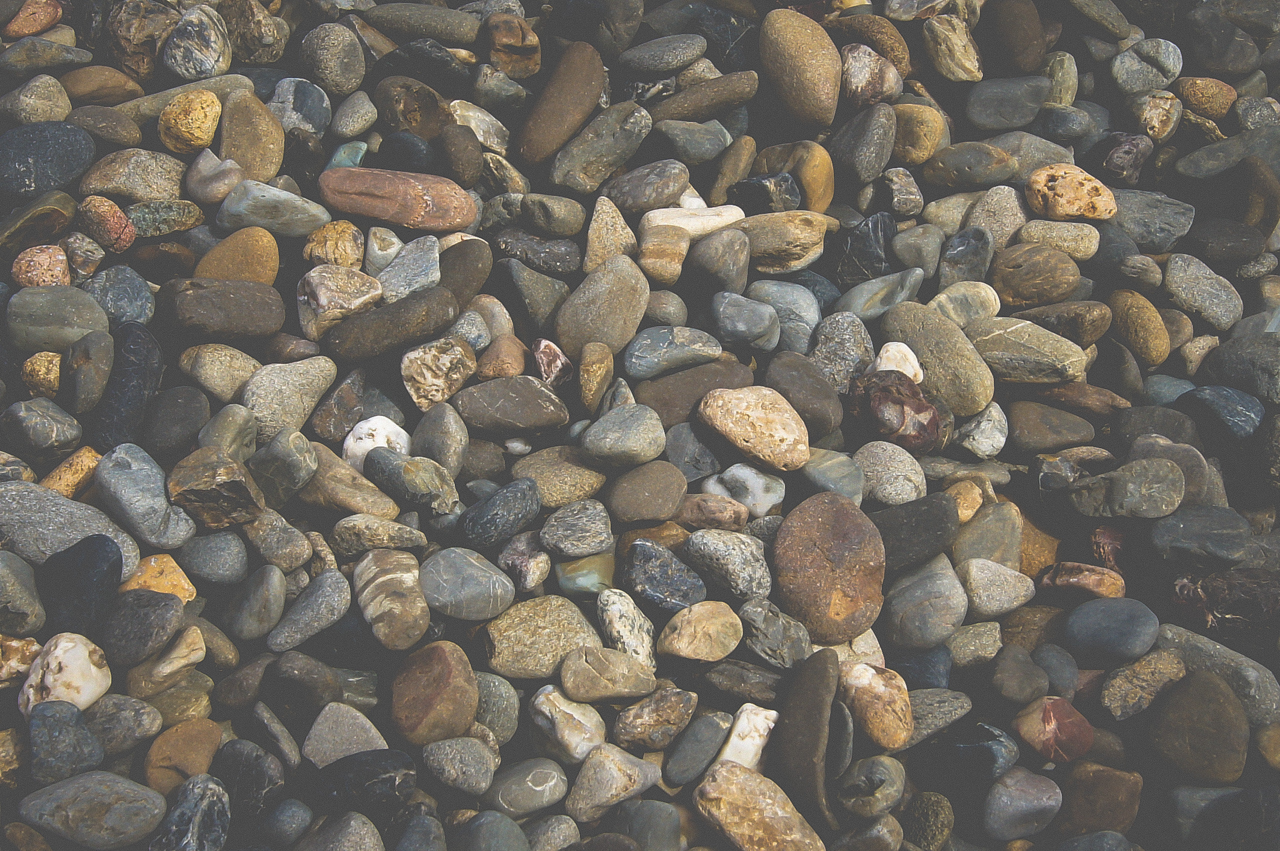 Grey River Pebble 20mm Closeup Landscape Supply Photography