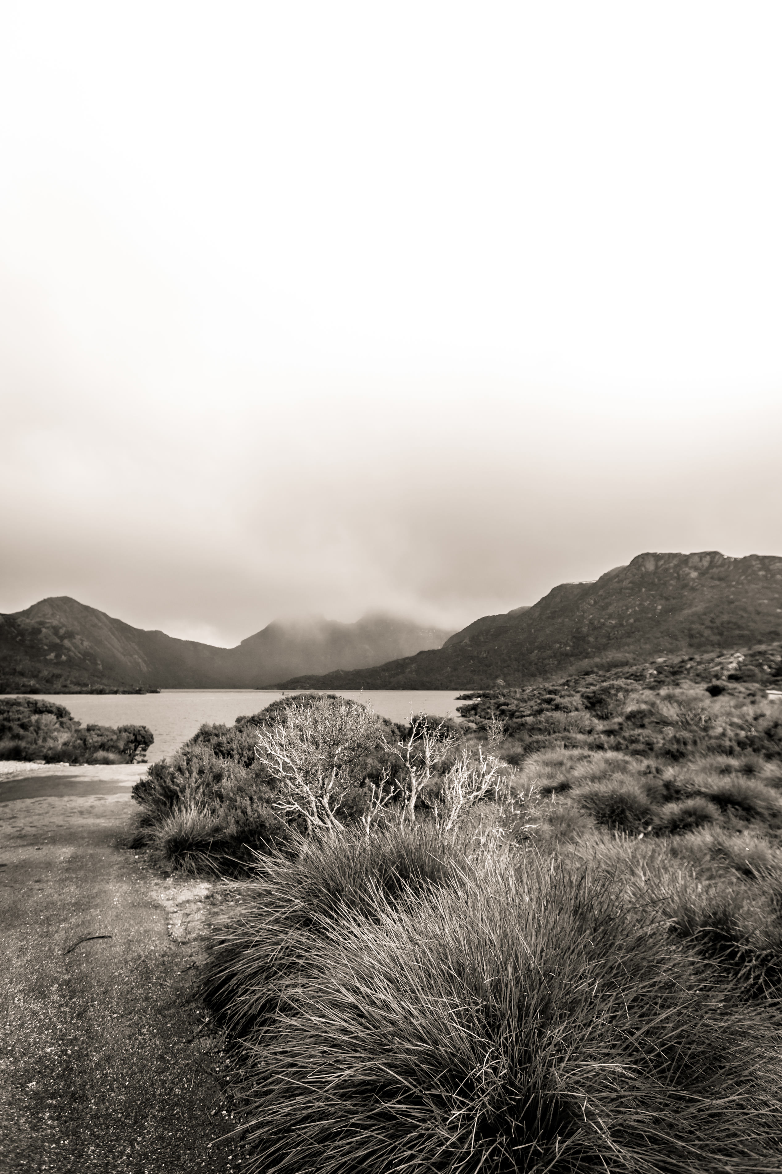 Travel photography in Tasmania - Cradle Mountain Waters Edge