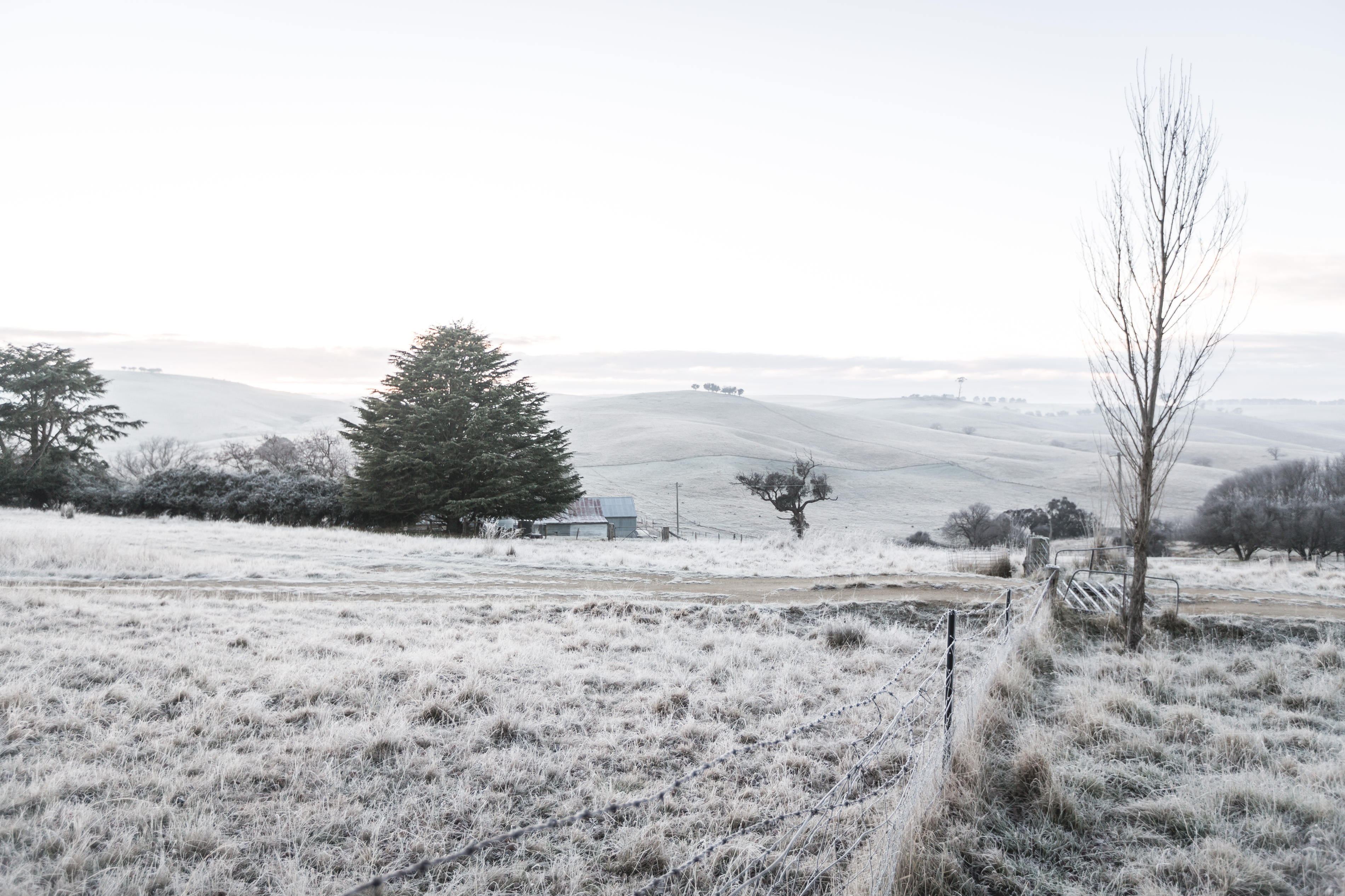 Early morning frost overlooking the sheep station at crookwell